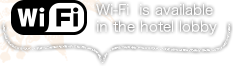 Wi-Fi is available in the hotel lobby